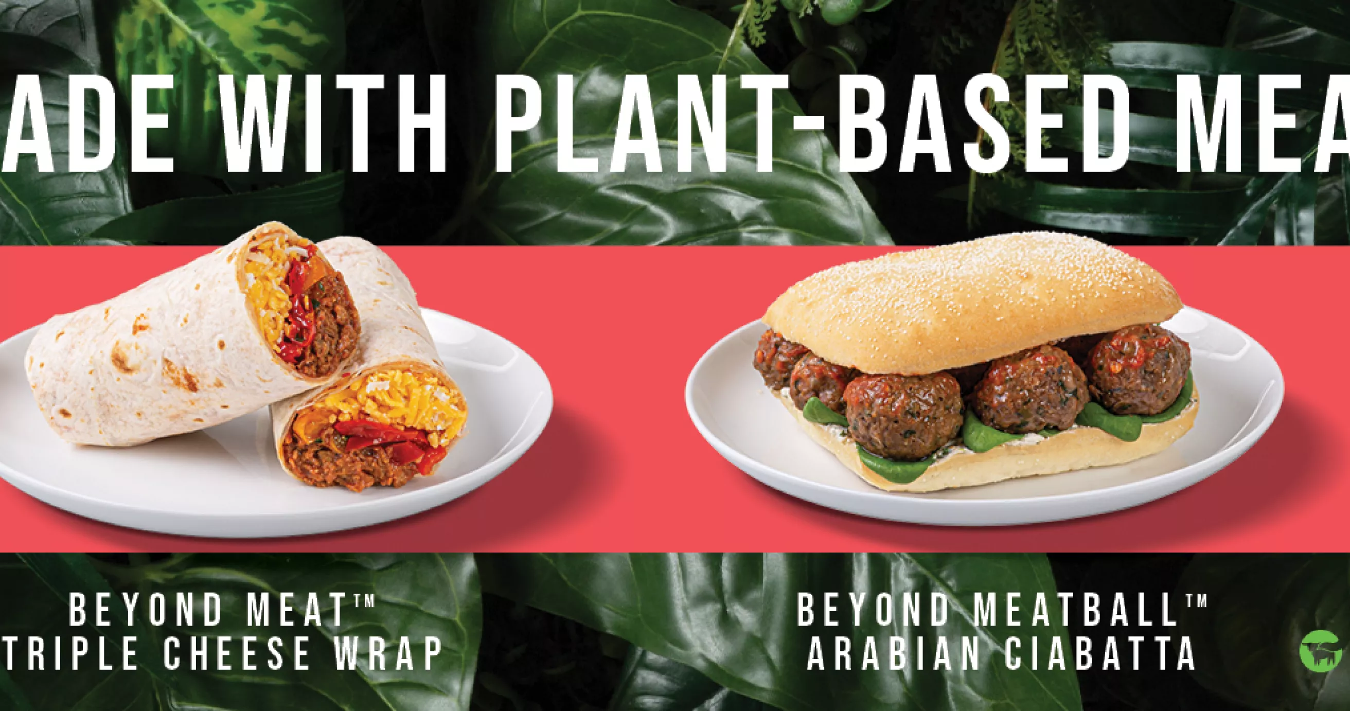 Plant-based Meat Alternatives